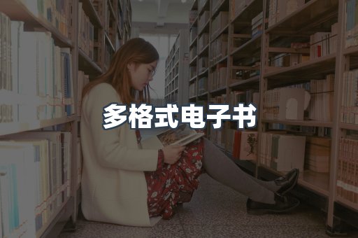 多格式电子书